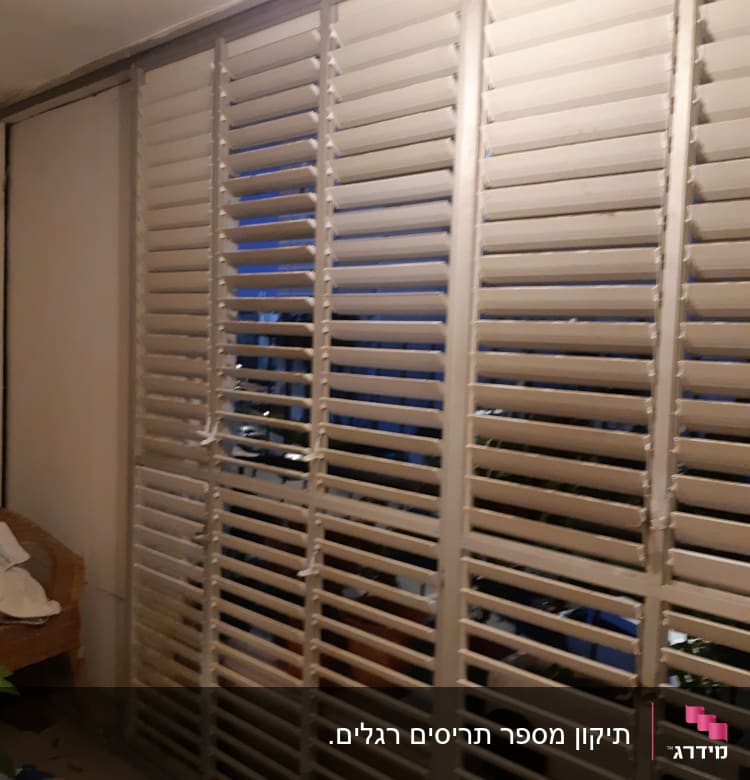 תריסים לבנים עם שלבים אופקיים בחדר מואר